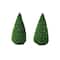 Miniature Boxwood Shrubs, 2ct. by Make Market®